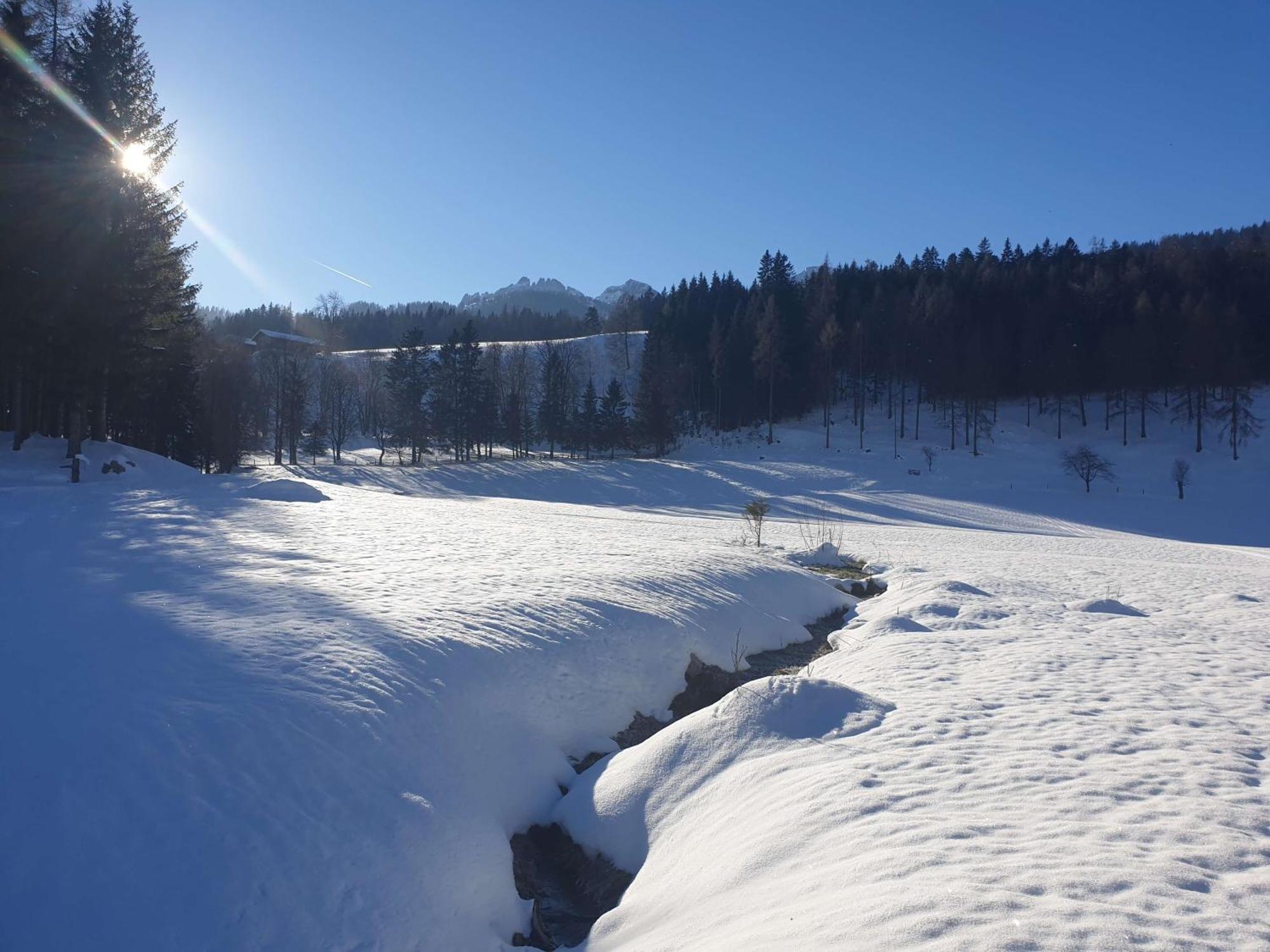 Mountain Residence Riesgut Werfen Zewnętrze zdjęcie