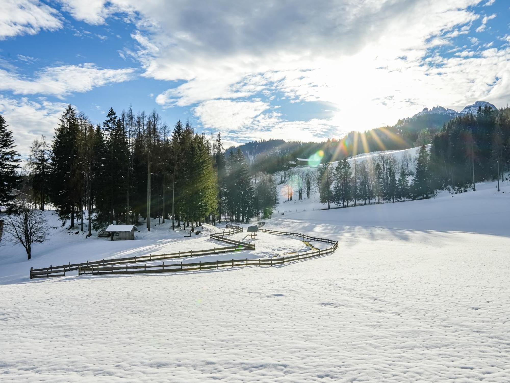Mountain Residence Riesgut Werfen Zewnętrze zdjęcie