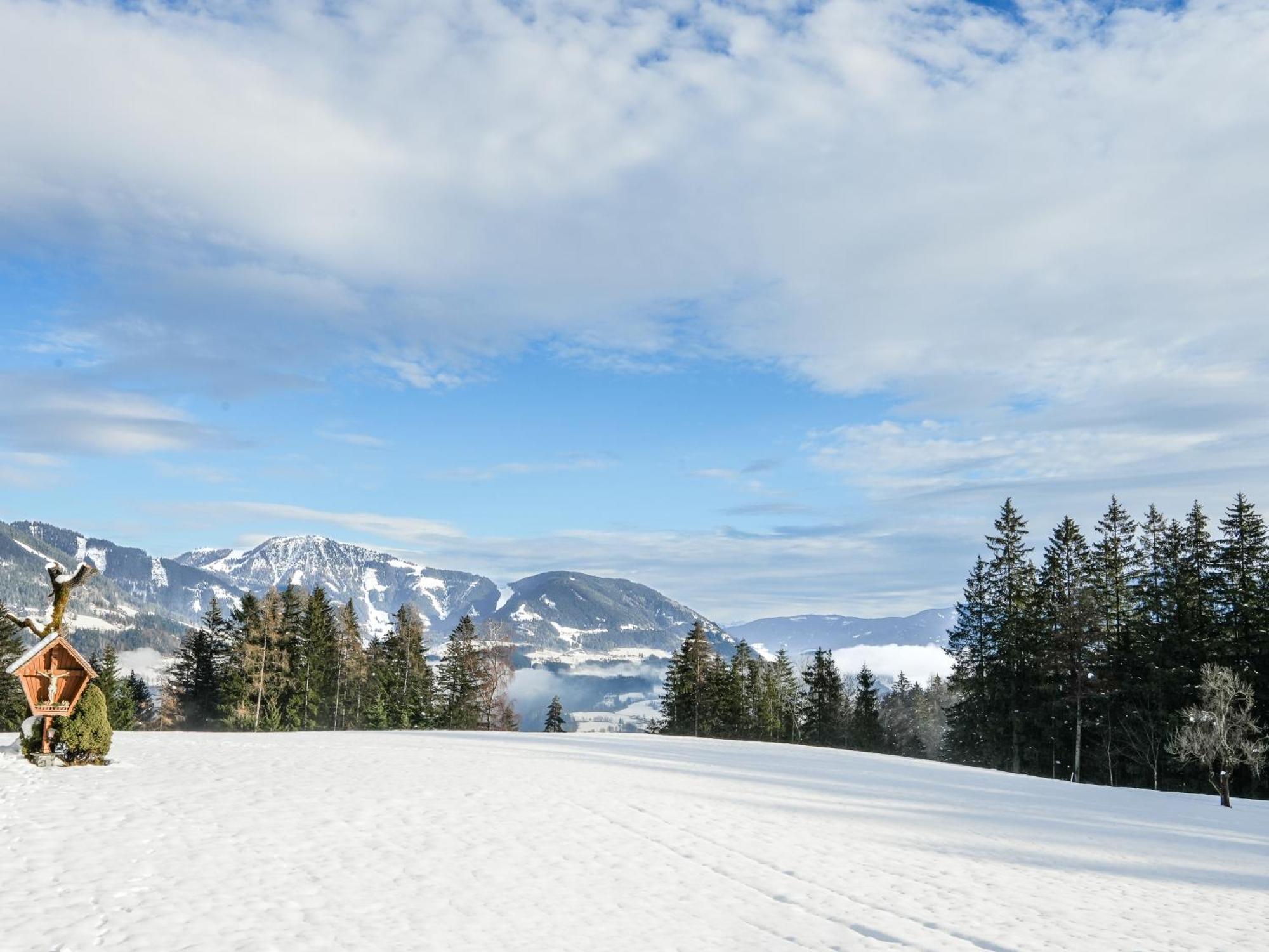 Mountain Residence Riesgut Werfen Zewnętrze zdjęcie