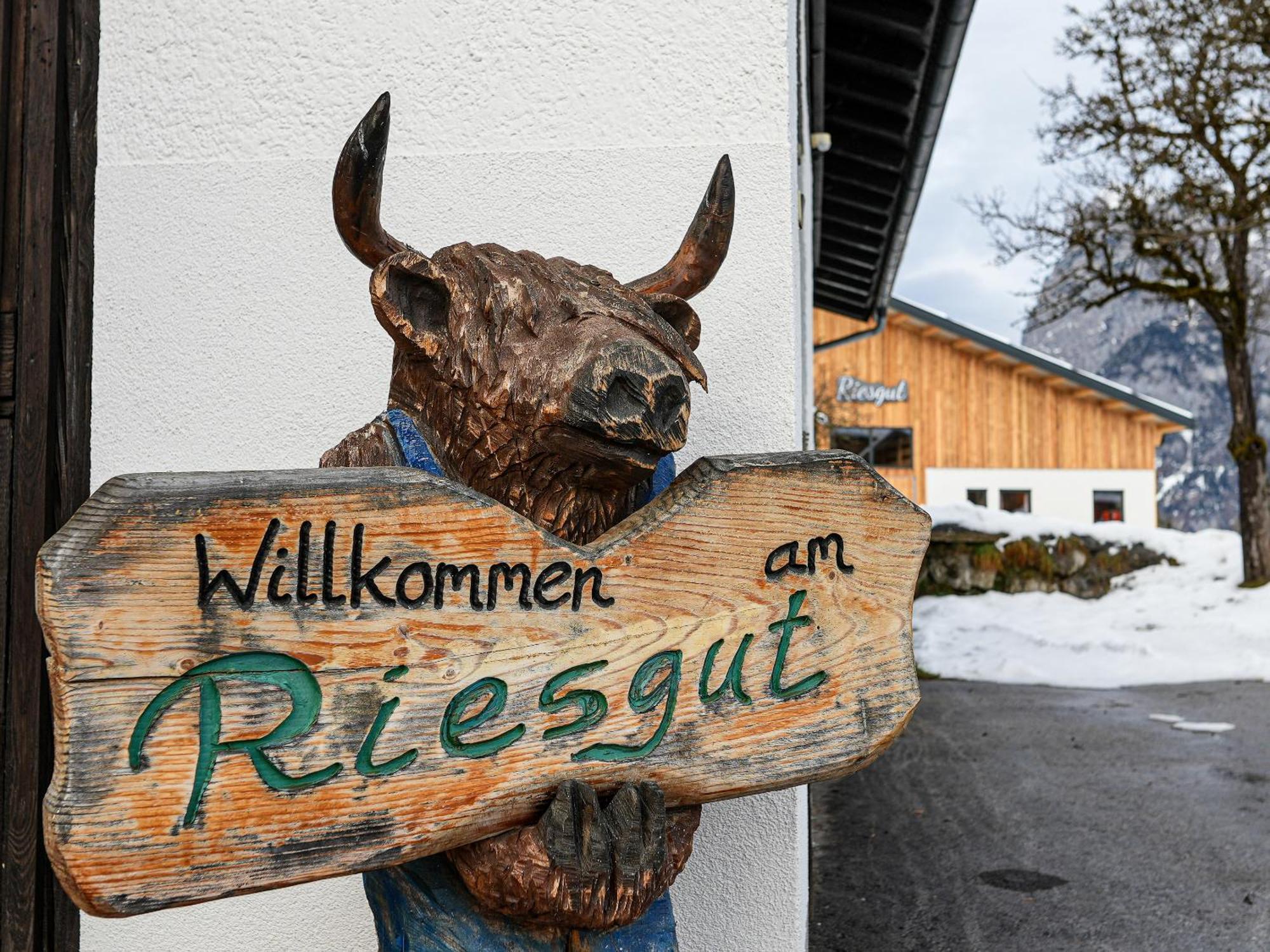 Mountain Residence Riesgut Werfen Zewnętrze zdjęcie